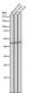 Anti-Flotillin 2 FLOT2 Rabbit Monoclonal Antibody